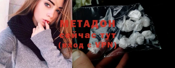 гидра Горняк