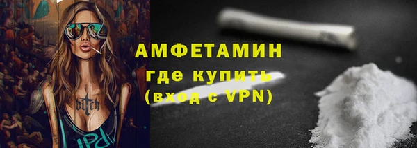гидра Горняк