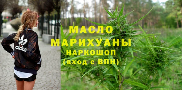 гидра Горняк