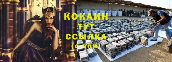 гидра Горняк