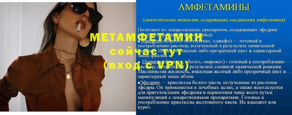 гидра Горняк