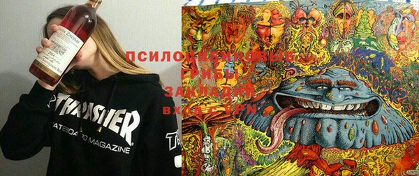 гидра Горняк
