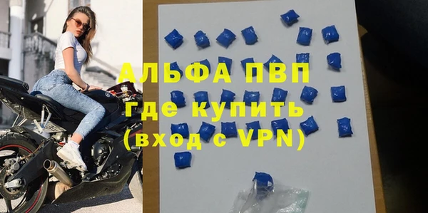 гидра Горняк