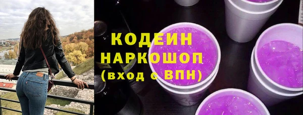 гидра Горняк